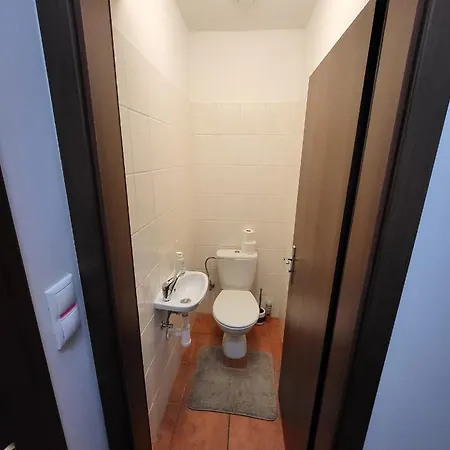 Excellent In Center 5 Min Walk From The Colonnade 아파트 카를로비바리
