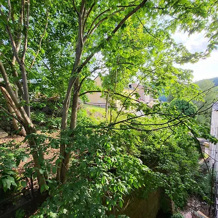 Excellent In Center 5 Min Walk From The Colonnade Apartmán Karlovy Vary