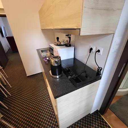 Excellent In Center 5 Min Walk From The Colonnade Karlovy Vary