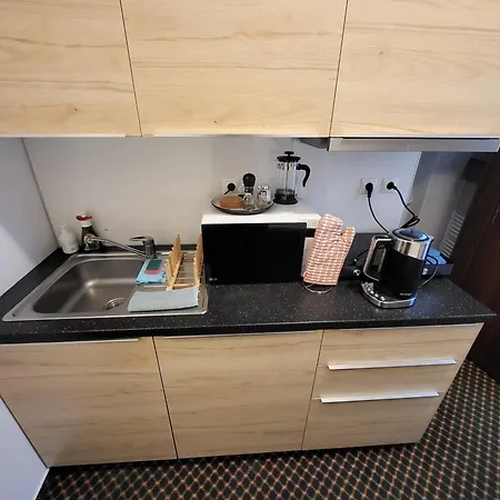 Excellent In Center 5 Min Walk From The Colonnade Apartmán Karlovy Vary